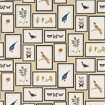 Фото: обои современные дизайн  птицы и бабочки 213399- Ампир Декор