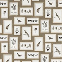 Фото: обои с картинами птиц и листьев 213397- Ампир Декор