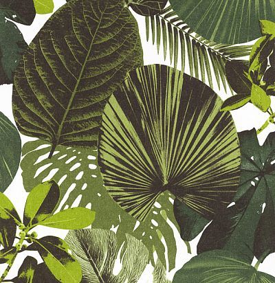 обои с тропическими листьями OXY001 Khroma