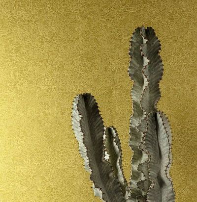 Обои современные дизайнерские  HAV1003 Khroma