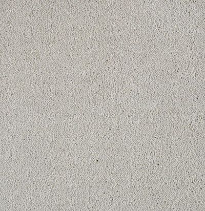 Dream UIO/870 Ковровое покрытие  (4м x 1м) SmartStrand