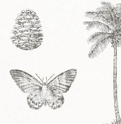 светлые обои с бабочками и пальмами 213384 Sanderson