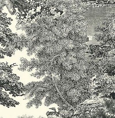 Панно ЛЕС имитация гравюры DG2SAL1014 Khroma