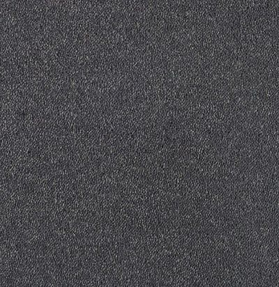 Dream UIO/820 Ковровое покрытие  (4м x 1м) SmartStrand