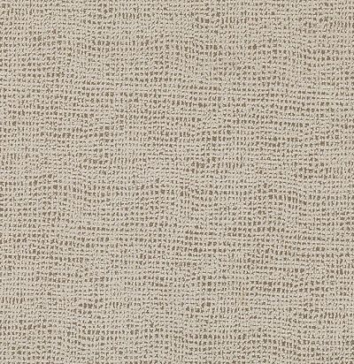 ткань с абстрактным узором Z352/03 Bruce Zinc