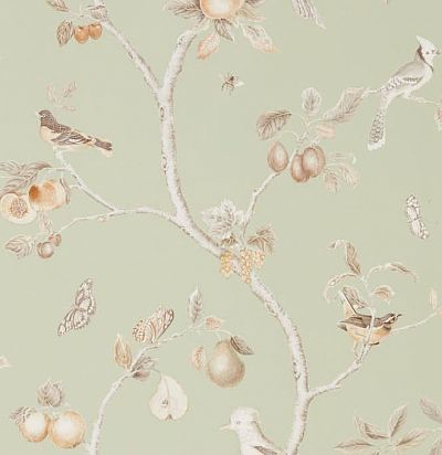 обои с птицами и фруктами 216311 Sanderson