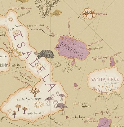 обои с морской картой 213363 Sanderson