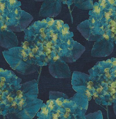 обои темные с гортензиями KUR302 Khroma