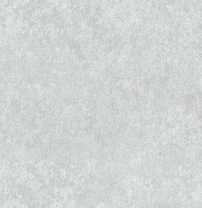 Обои современные имитация штукатурки ED9003 Omexco