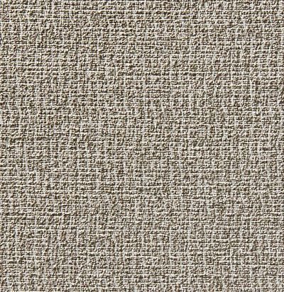 ткань современная плотная  10900-884 Zimmer+Rohde