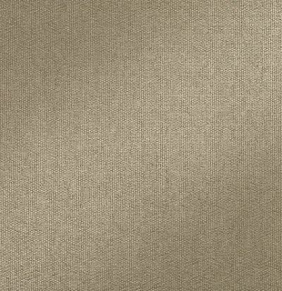 Портьера из Англии Z429/02 Zinc