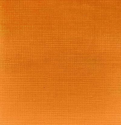 Бархатная обивочная ткань без узора Cube 301 