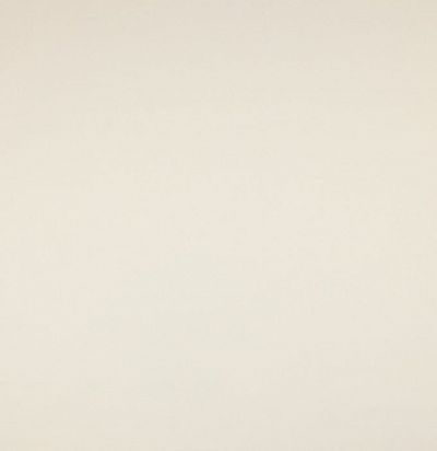 Хлопок пастельных тонов без узора 04676/31 