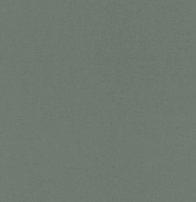 Обои однотонные 552751 Rasch