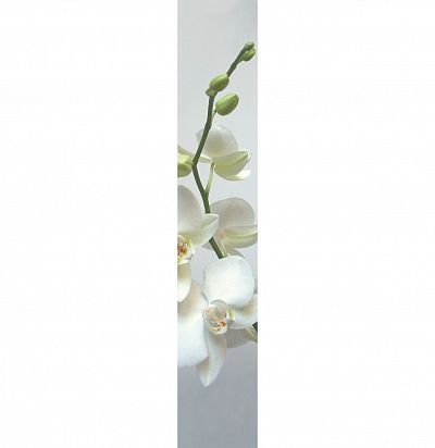 Панно с крупными цветами ACE 67180002 Orchidee Caselio