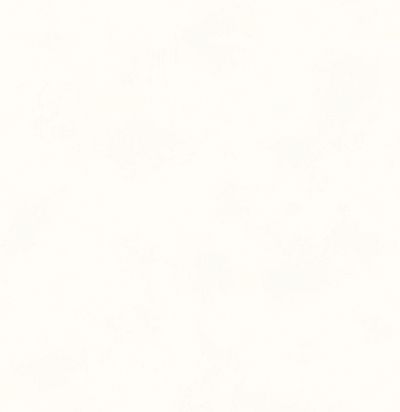 Обои однотонные современные BLONE1001 Guy Masureel