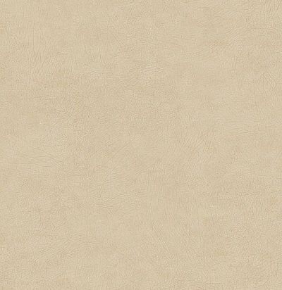 обои бежевые фоновые 372520 