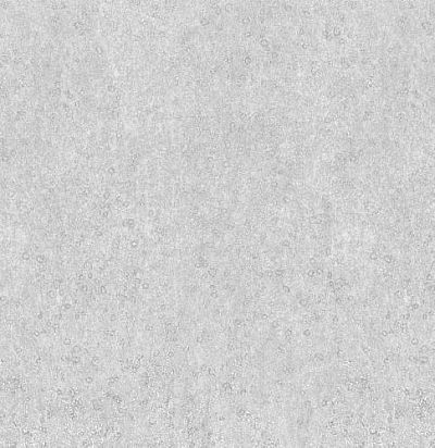 Обои Omexco Kaleidoscope KAL4202 Omexco