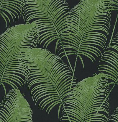 обои с пальмовыми листьями OXY404 Khroma