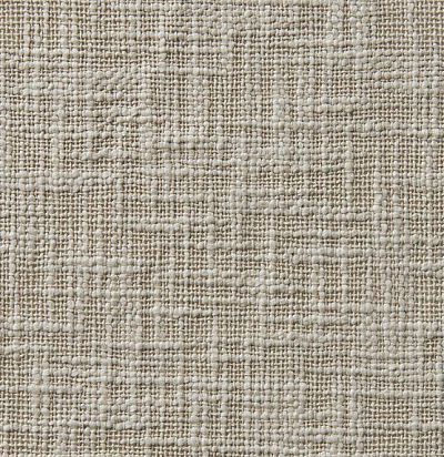 ткань современная плотная однотонная 21263-863 Zimmer+Rohde