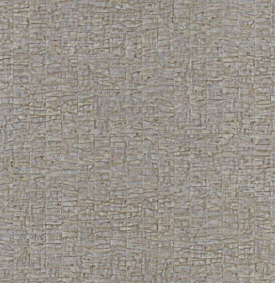 74070528 Caiman Acier Французские обои 