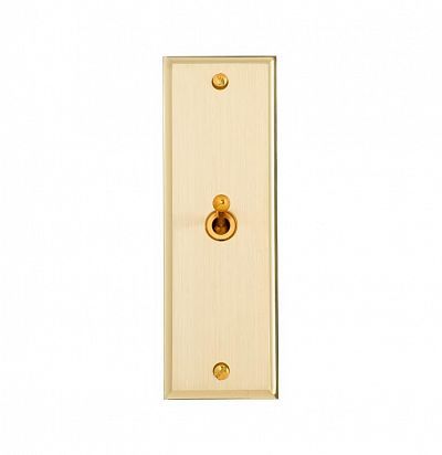 Petite 42X84 мм, вертикальный Laiton Розетка из латуни L'artisan