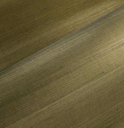 Однотонные 72750A ARTE