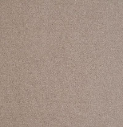 однотонная бархатная ткань 331611 Zoffany