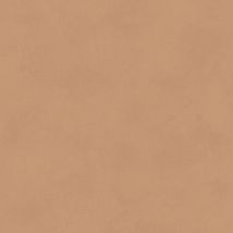 Фото: Обои однотонные современные BLONE1014- Ампир Декор