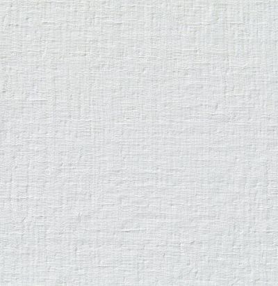 Ткань современная однотонная 19585-991 Zimmer+Rohde