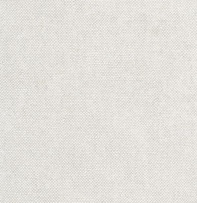 Обои современные имитация ткани CLR021 Guy Masureel