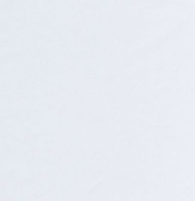 однотонная портьерная ткань светлого оттенка Wasabi CS 01 