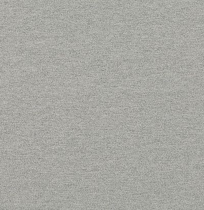 однотонная хлопковая ткань Z354/01 Marco Zinc