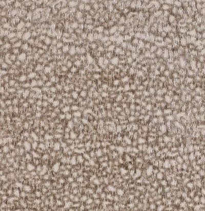 Светлая бархатная ткань с узором F4011/02 Colefax and Fowler