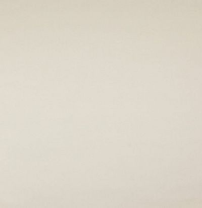 Обивочный хлопок светлых оттенков 04676/16 