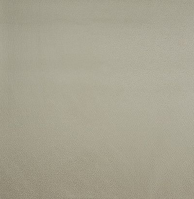 Ткань из Англии 1798/007 Crater Ivory 
