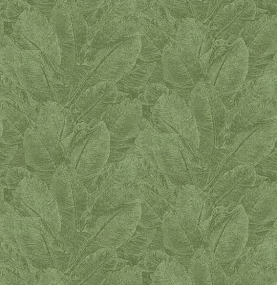 Обои современные дизайнерские крупные  листья HAV302 Khroma