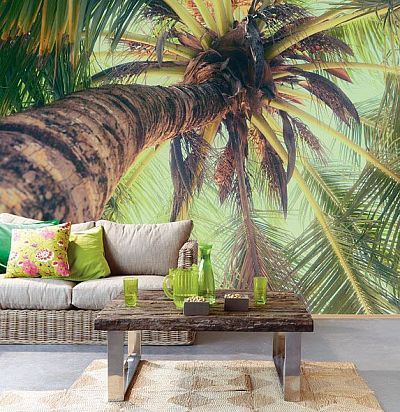 Фотообои с пальмой 330285 