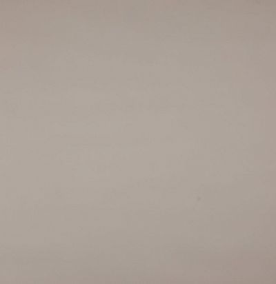 Хлопок пастельных тонов без узора 04676/14 