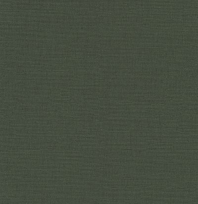 Обои современные имитация ткани RTS511 Guy Masureel