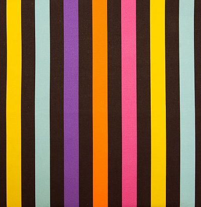 яркая ткань для портьер в полоску Rodeo 26 