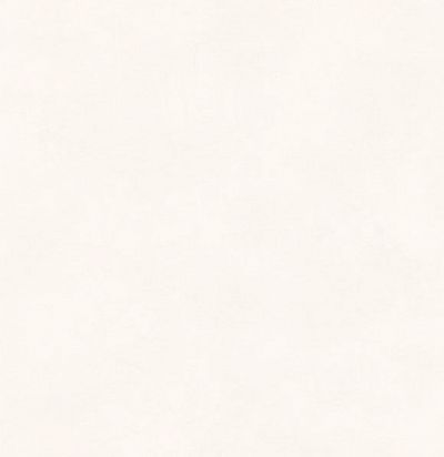 Обои с имитацией текстуры шерсти RYT001 Khroma