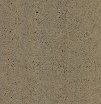 обои золотисто-коричневые 54162 ARTE