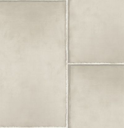 Обои Mayflower Aerial WMAFJ050210 Steel 