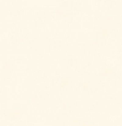 Обои супермоющиеся иммитация краски BLONE 1006 Khroma