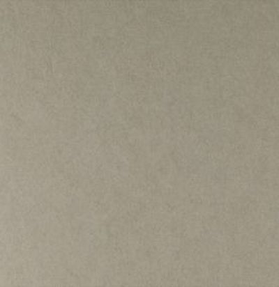 серые обои на флизелине 20528 ARTE