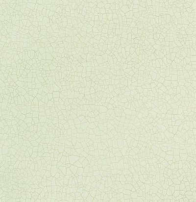 фоновые обои с кракелюрами PEW01006 Zoffany