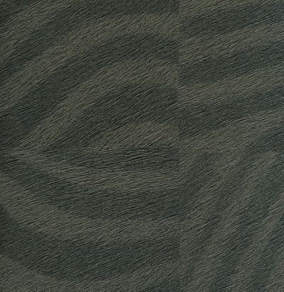 VP65503 Zabre Marquer son territoire Франнцузские обои 