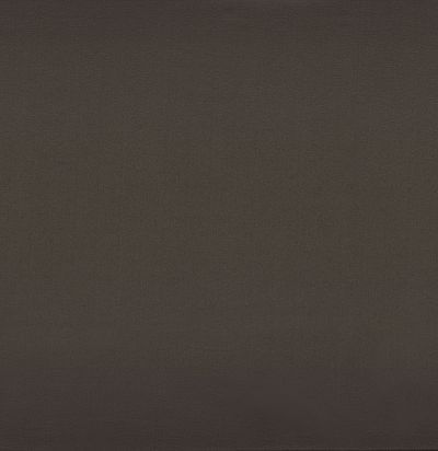 39170248 BROOKS CARBONE  Современная ткань из Франции 