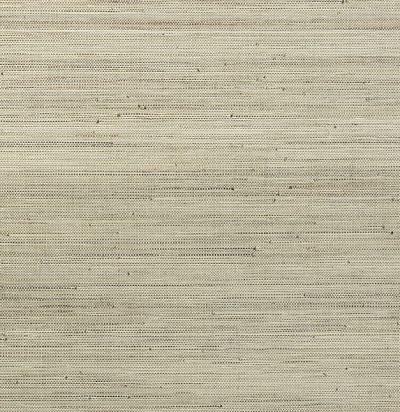 Однотонные 48021A ARTE